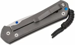 CHRIS REEVE KNIVES Chris Reeve Large Sebenza 31 Folding Knife 3.61