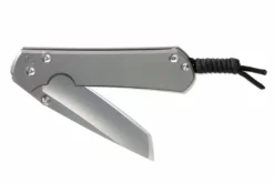 CHRIS REEVE KNIVES Chris Reeve Large Sebenza 31 Sprint Tanto S35VN Glass Blast Titanium Folder