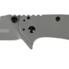 Kershaw 1556Ti Cryo II Assisted Blade Kershaw Knives