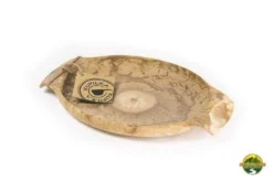 Camp Kitchen Kupilka Platter K44 (Made In Finland)