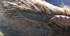 TOPS KNIVES TOPS Viper Scout Fixed Knife USA (Red Handles)