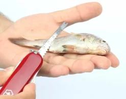 Victorinox Swiss Army Multi-Tool SwissChamp Pocket Knife